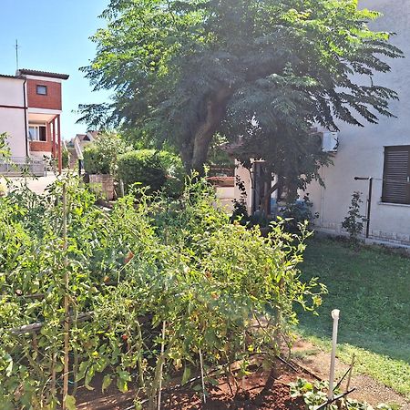 Apartments Reinic Novigrad Istria Exteriör bild