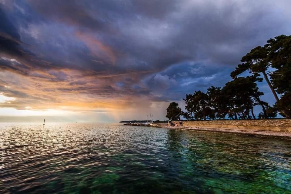 Apartments Reinic Novigrad Istria Exteriör bild
